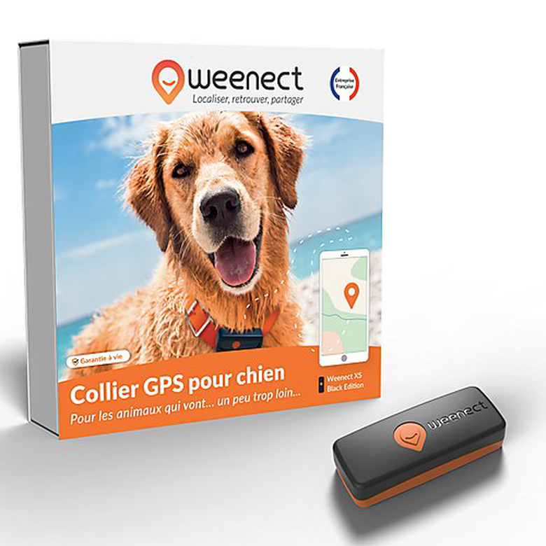 Weenect Collier GPS pour Chien - Weenect XS ( Black Edition 2023)  pour Chien 28g6,0 X 2,4 X 1,5 cm Noir/Orange