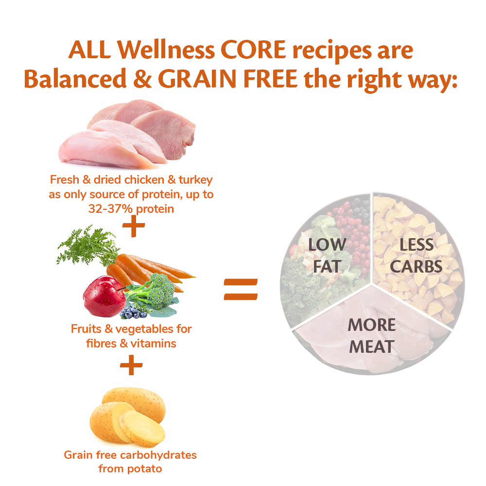 Wellness Core Grain Free Adult Low Fat Kalkoen Medium/Large Breed 10Kg