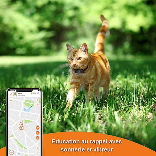 Weenect GPS tracker voor katten - Weenect XS (Zwart editie 2023) voor Cat 28g6,0 X 2,4 X 1,5 cm Zwart / Oranje