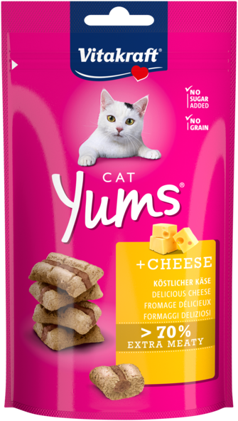 CAT YUMS FROMAGE VTK 40G