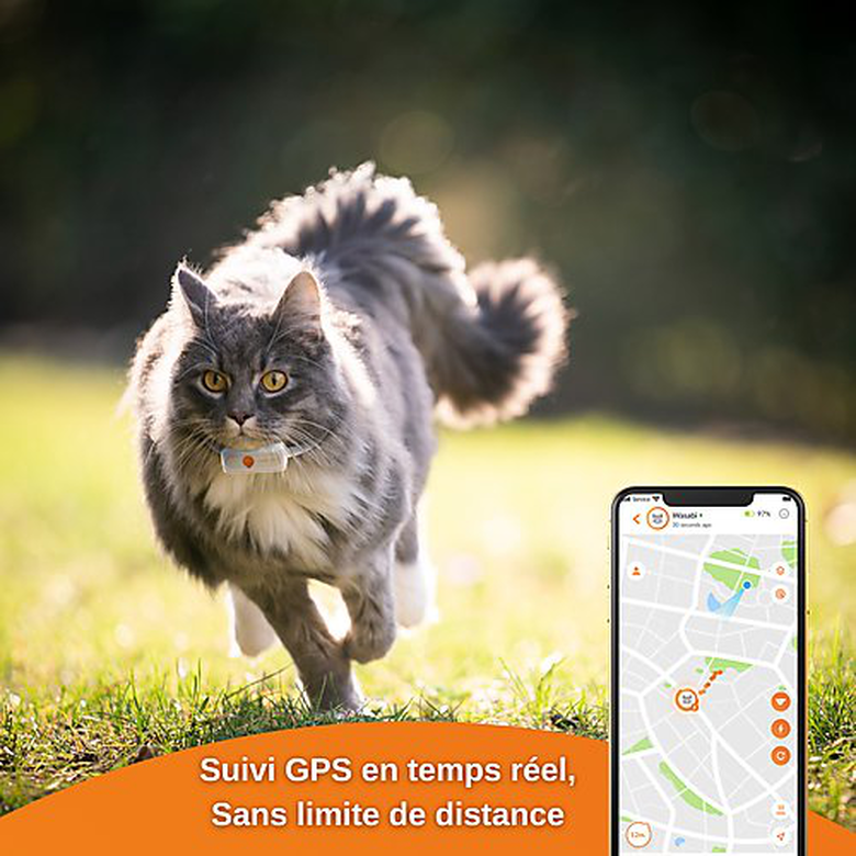 Weenect GPS tracker voor katten - Weenect XS (Wit editie 2023) voor Cat 28g6,0 X 2,4 X 1,5 cm Wit/Oranje