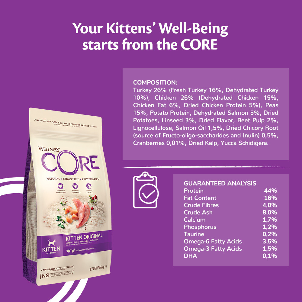 Wellness Core Grain Free Kitten Kalkoen & Zalm 300G Voor Kat