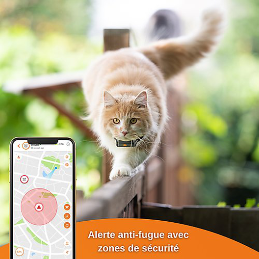 Weenect GPS tracker voor katten - Weenect XS (Zwart editie 2023) voor Cat 28g6,0 X 2,4 X 1,5 cm Zwart / Oranje