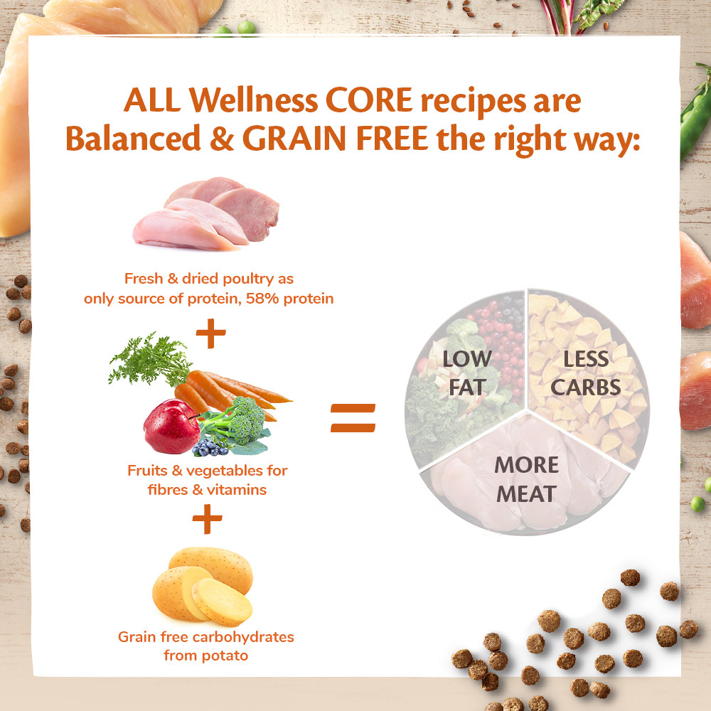Wellness Core Grain Free Original Kalkoen & Kip 1,75Kg Voor Kat