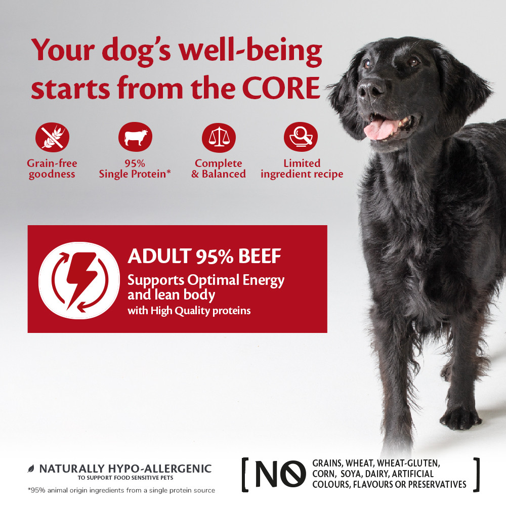 Wellness Core Grain Free Can 95% Single Protein Rund & Broccoli 400Gr Voor Hond