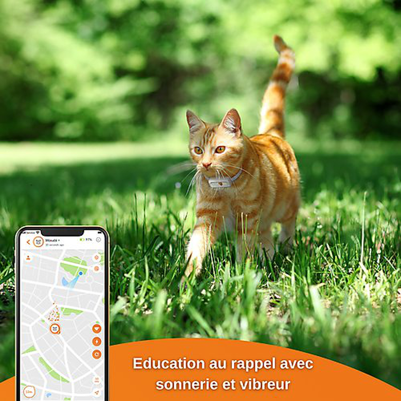 Weenect GPS tracker voor katten - Weenect XS (Wit editie 2023) voor Cat 28g6,0 X 2,4 X 1,5 cm Wit/Oranje