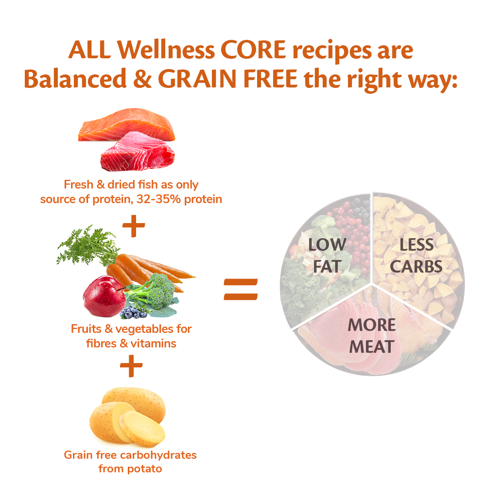 Wellness Core Grain Free Adult Ocean Zalm & Tonijn Medium/Large Breed 10Kg