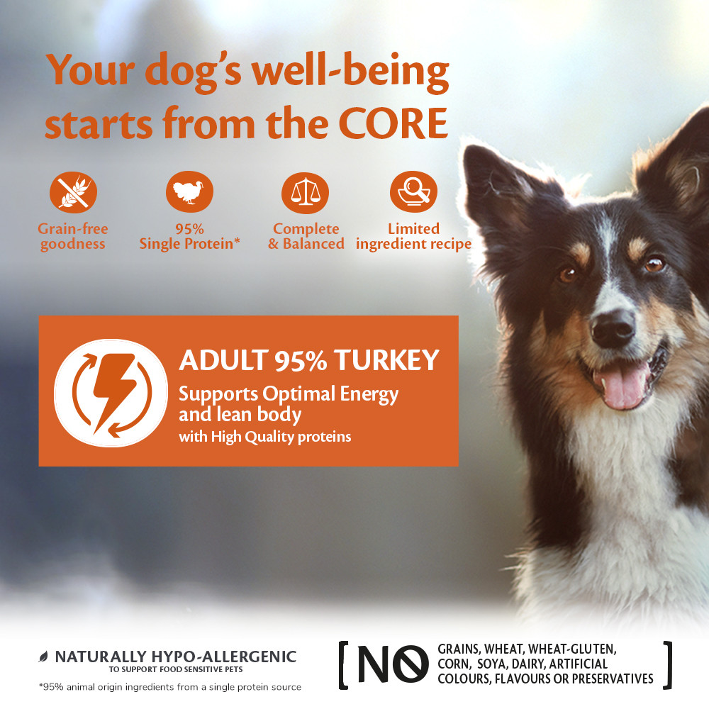 Wellness Core Grain Free Can 95% Single Protein Kalkoen & Boerenkool 400Gr Voor Hond