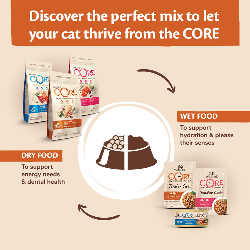 Wellness Core Grain Free Original Dinde & Poulet 1,75Kg Pour Chat