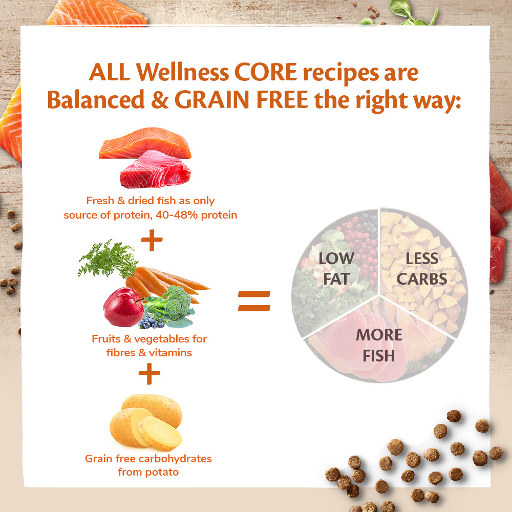 Wellness Core Grain Free Ocean Saumon & Thon 1,75Kg Pour Chat