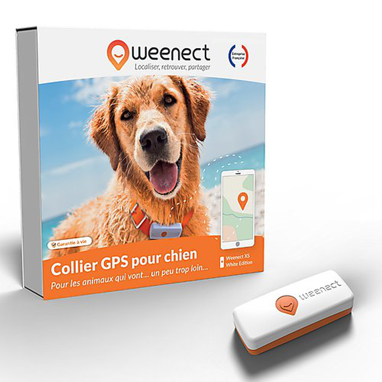 Weenect Collier GPS pour Chien - Weenect XS ( White Edition 2023)  pour Chien 28g6,0 X 2,4 X 1,5 cm Blanc/Orange