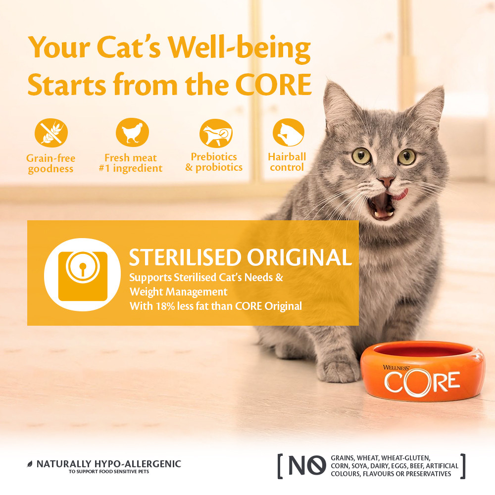 Wellness Core Grain Free Sterilized Original Cat 4Kg