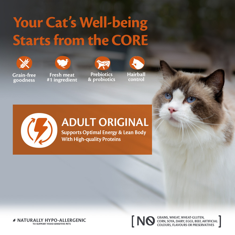 Wellness Core Grain Free Original Cat 4Kg
