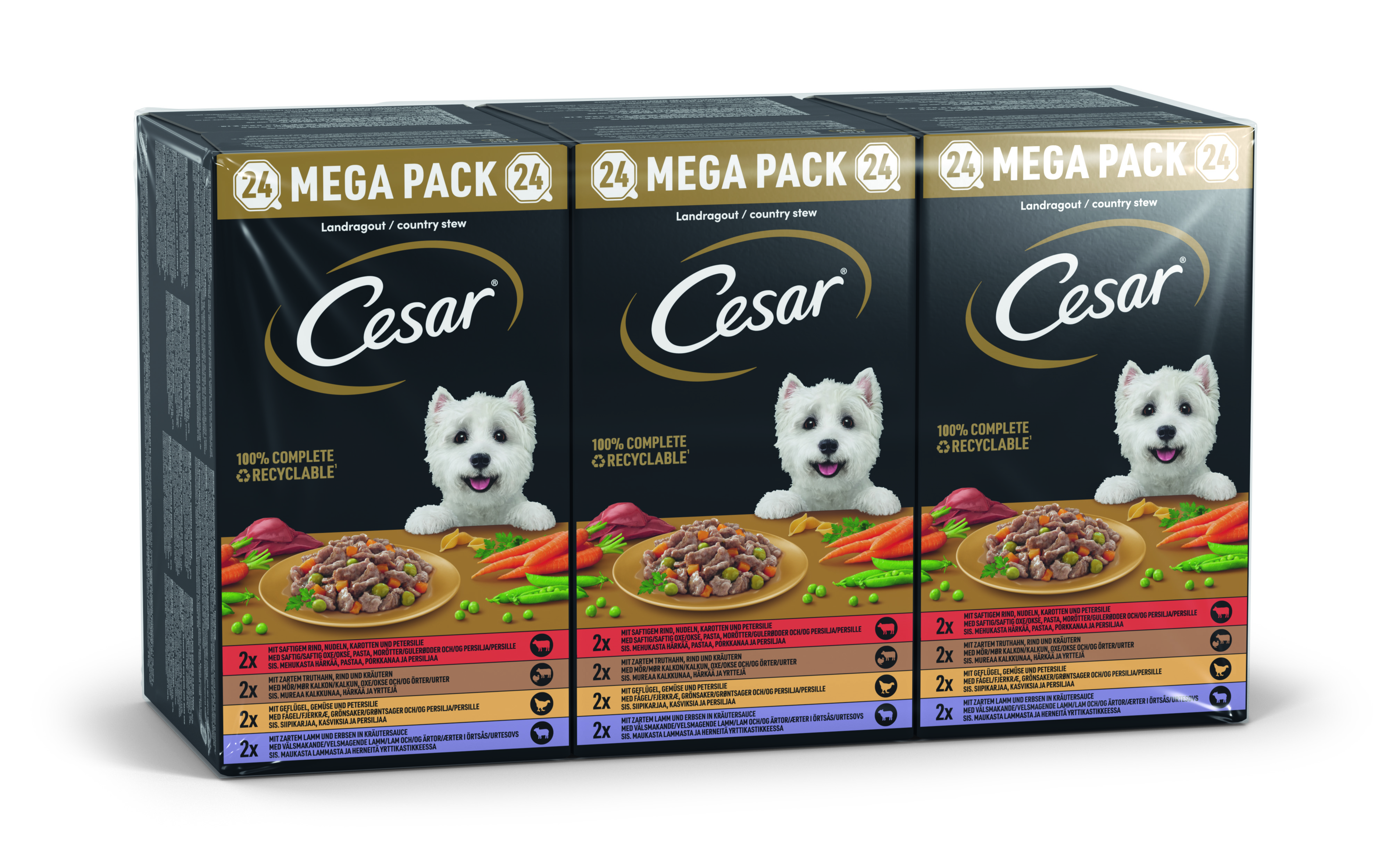 CESAR COUNTRY KITCHEN 24PACK 150G