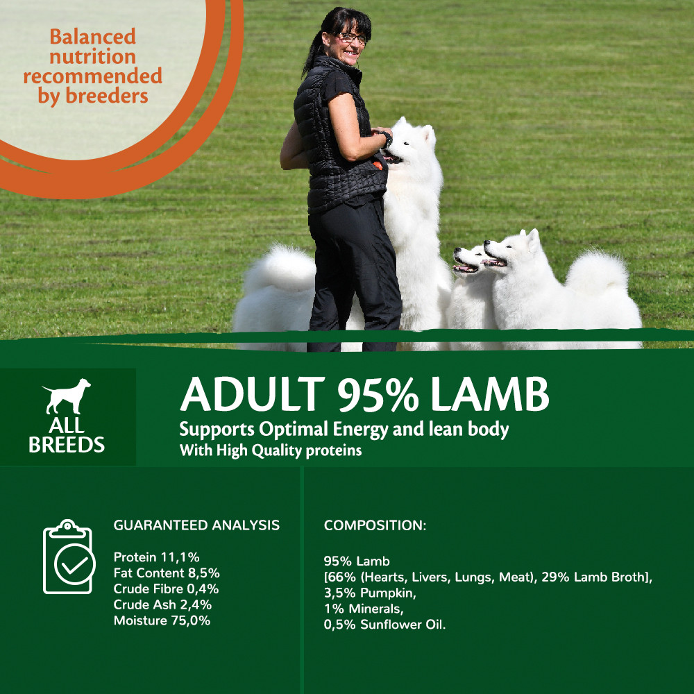 Wellness Core Grain Free Can 95% Single Protein Lam & Pompoen 400Gr Voor Hond