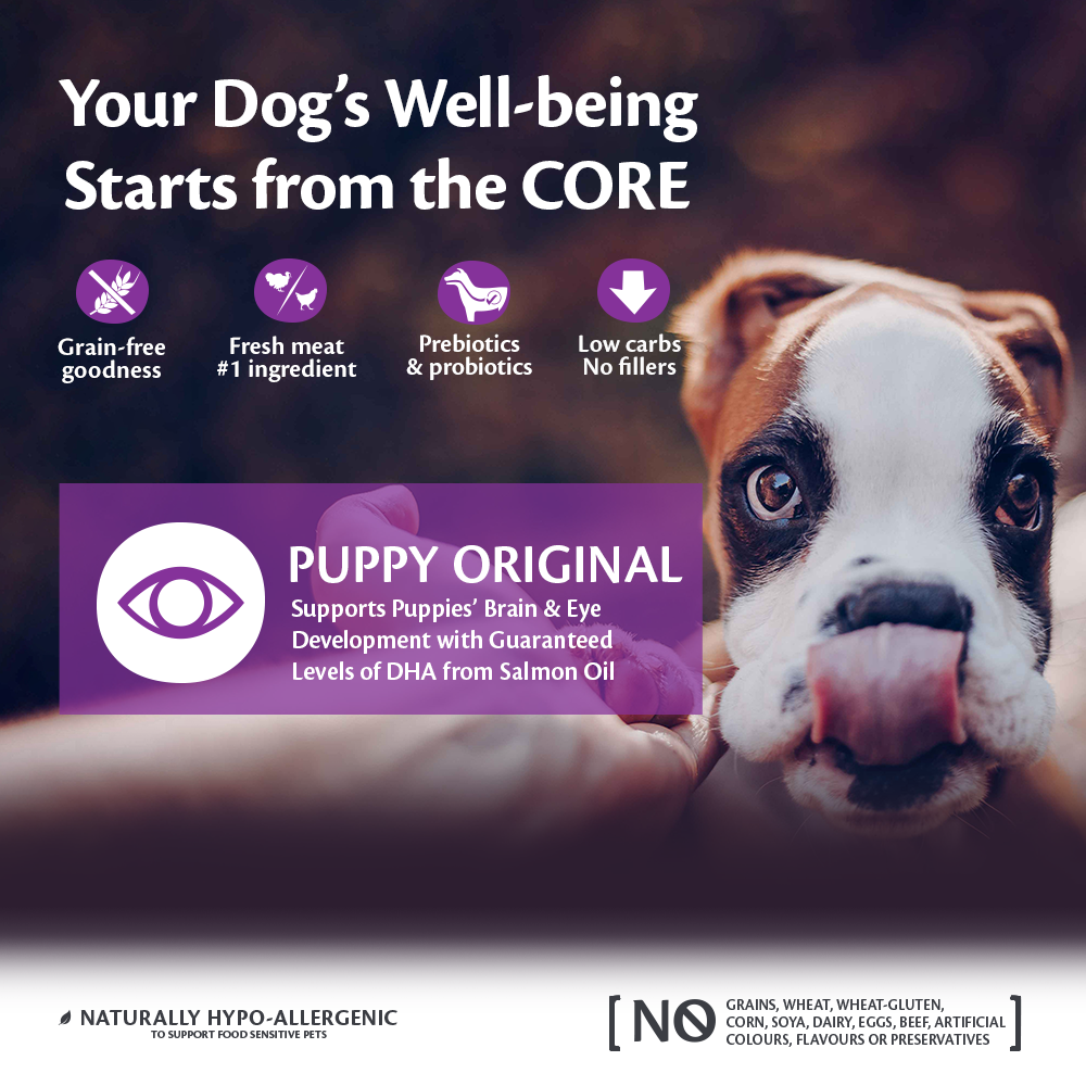 Wellness Core Grain Free Puppy Original Kalkoen & Kip Small/Medium Breed 10Kg Voor Hond