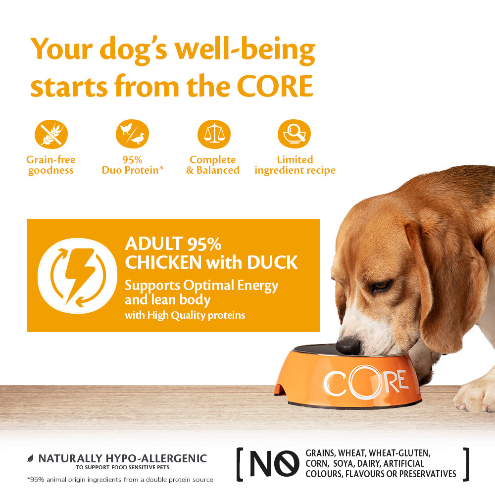 Wellness Core Grain Free Can 95% Singel Protein Kip & Eend 400G Voor Hond