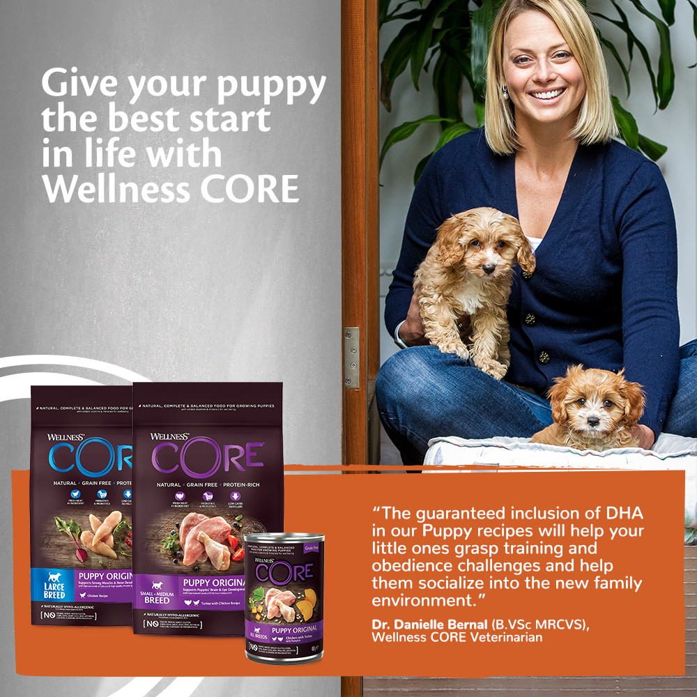 Wellness Core Grain Free Puppy Original Poulet & Dinde All Breeds 400G Pour Chien