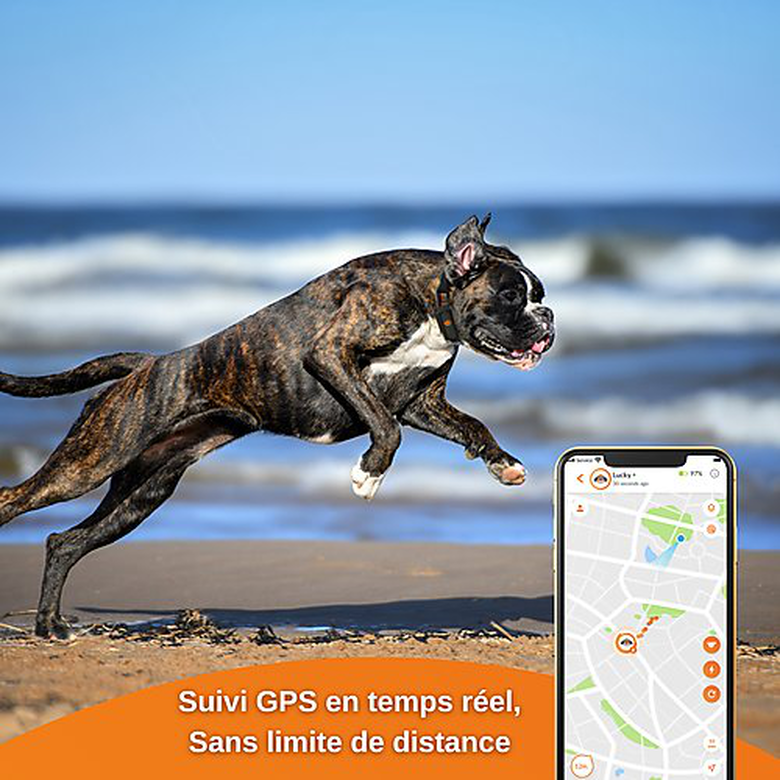 Weenect GPS tracker voor honden - Weenect XS (Zwart editie 2023) voor Dog 28g6,0 X 2,4 X 1,5 cm Zwart / Oranje