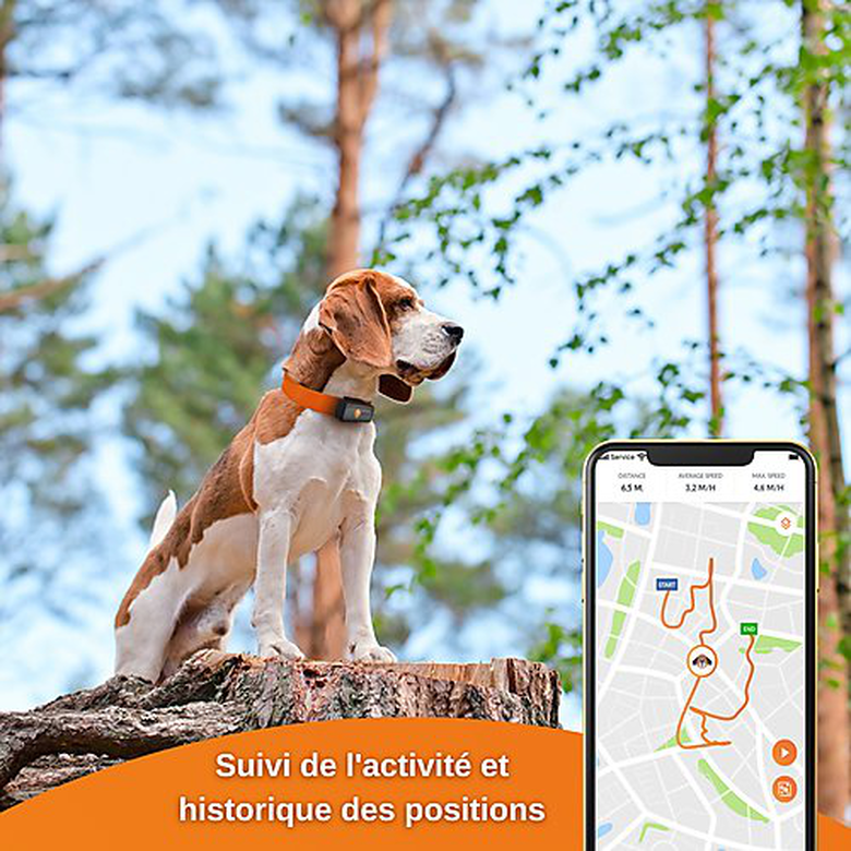 Weenect GPS tracker voor honden - Weenect XS (Zwart editie 2023) voor Dog 28g6,0 X 2,4 X 1,5 cm Zwart / Oranje