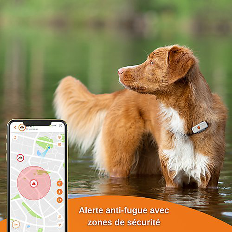 Weenect GPS tracker voor honden - Weenect XS (Wit editie 2023) voor Dog 28g6,0 X 2,4 X 1,5 cm Wit/Oranje