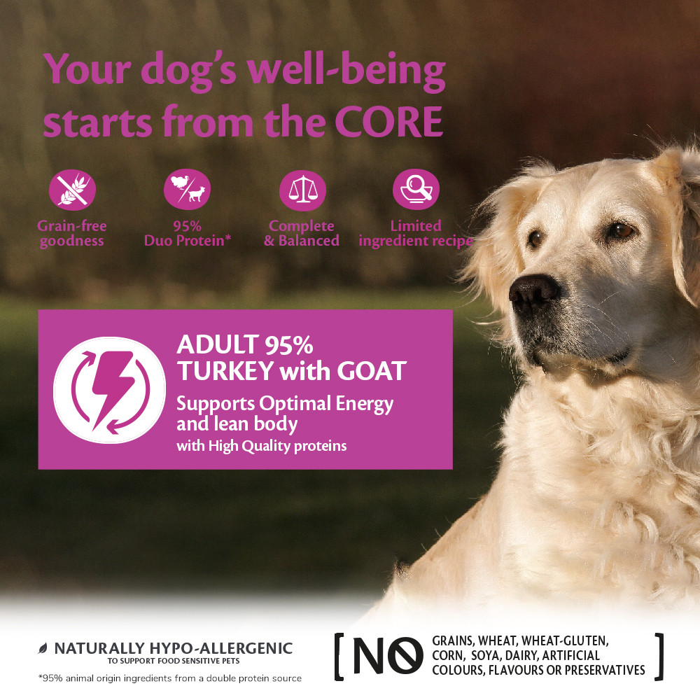 Wellness Core Grain Free Can 95% Singel Protein Kalkoen & Geit 400G Voor Hond