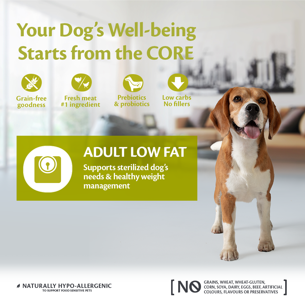 Wellness Core Grain Free Adult Low Fat Kalkoen Medium/Large Breed 1,8Kg Voor Hond