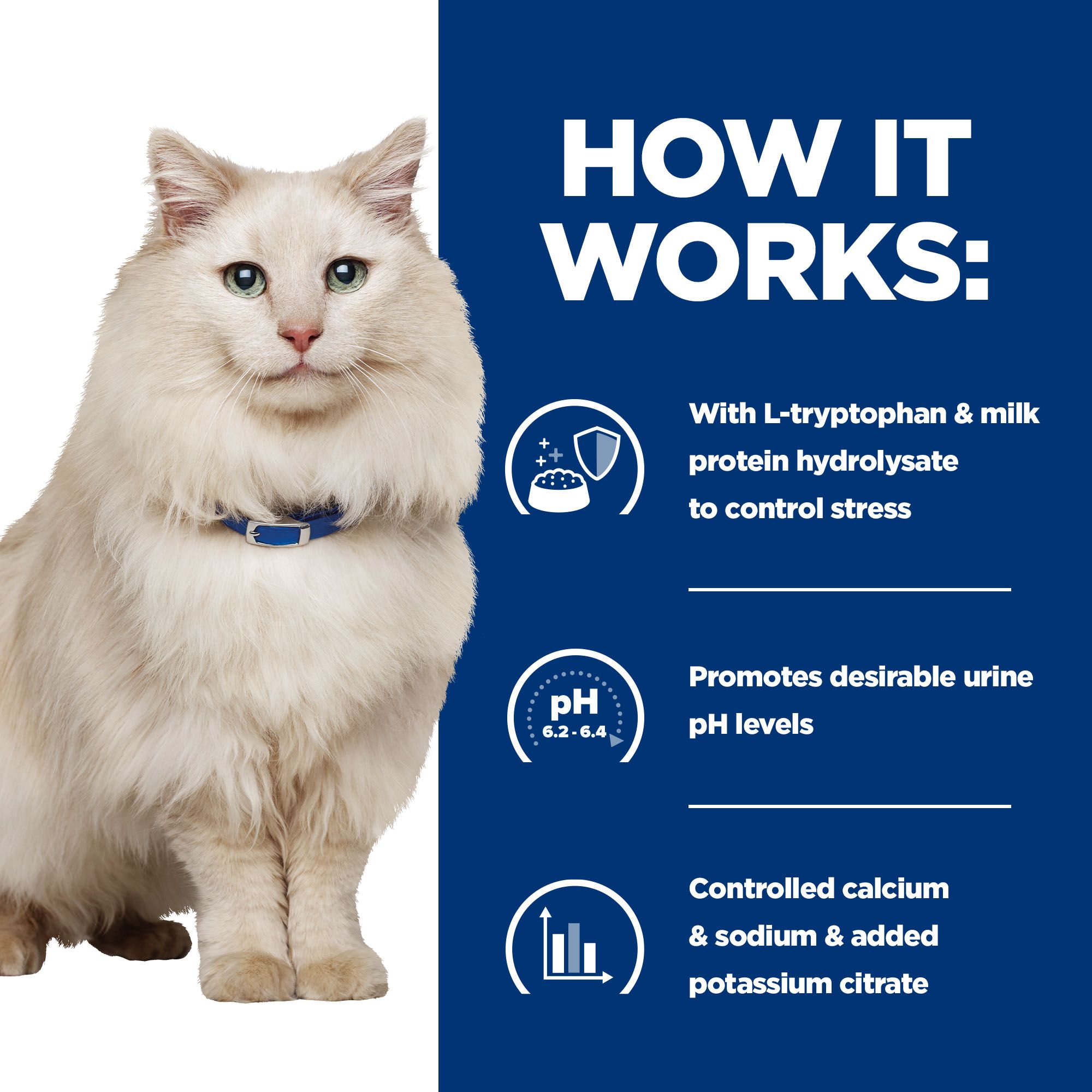 Hill's Prescription Diet c/d Multicare Stress Urinary Care Kattenvoer met Kip Zak 3kg