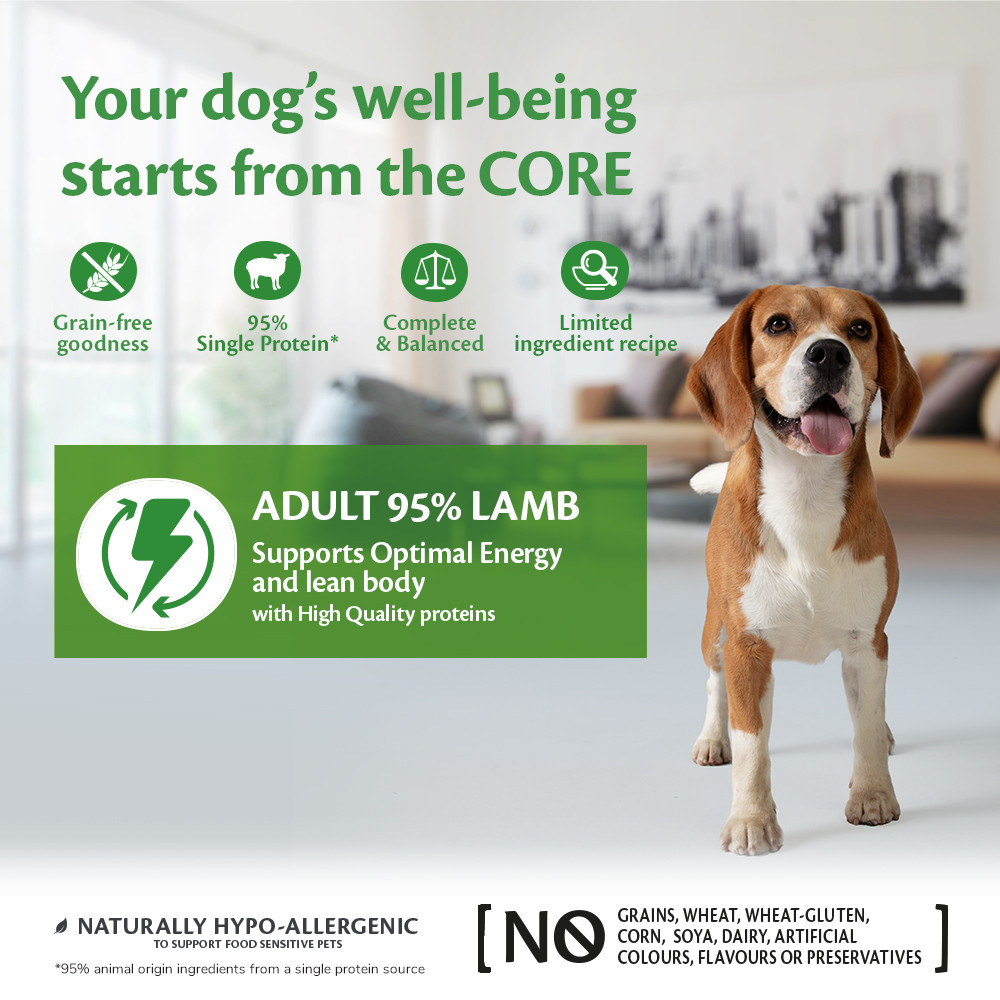 Wellness Core Grain Free Can 95% Single Protein Lam & Pompoen 400Gr Voor Hond