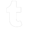 Tiktok icon