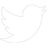 Twitter icon