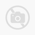 CALIBRA VDIET ULTRA HYPOALLERGENIC DOG 12KG INSECT
